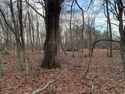 Recreational Retreat with Cabin for Sale in Wytheville VA - image 19