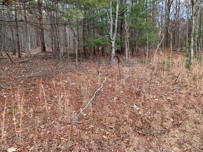 Recreational Retreat with Cabin for Sale in Wytheville VA - image 22