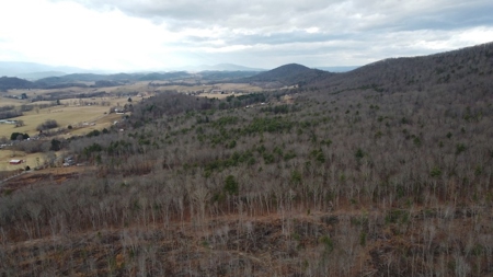 Recreational Retreat with Cabin for Sale in Wytheville VA - image 11