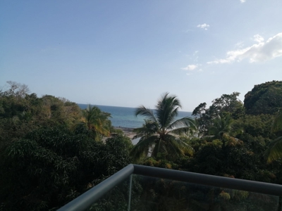 Beautiful Spacious Apartment Overlooking Ocean And Jungle - image 4