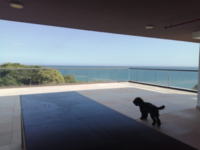 Beautiful Spacious Apartment Overlooking Ocean And Jungle - image 13