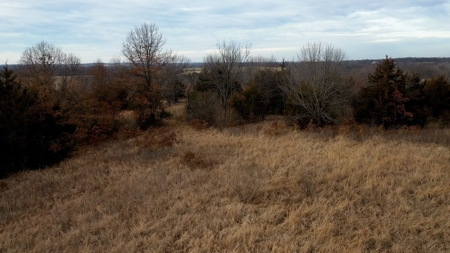 Land For Sale - image 7