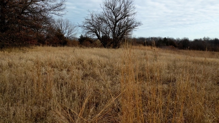 Land For Sale - image 9