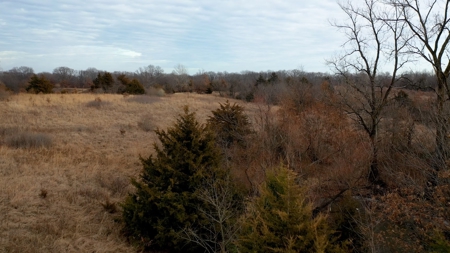 Land For Sale - image 3