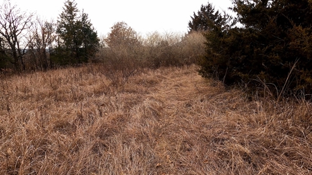 Land For Sale - image 10