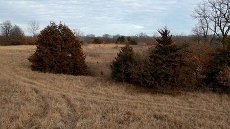 Land For Sale - image 12