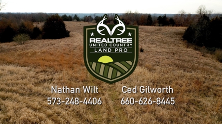 Land For Sale - image 2