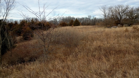 Land For Sale - image 11