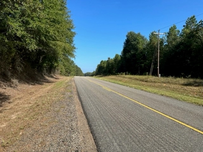 8.3 Acre Lot No Restrictions - image 5