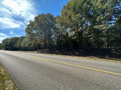 8.3 Acre Lot No Restrictions - image 7