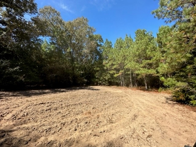 8.3 Acre Lot No Restrictions - image 16
