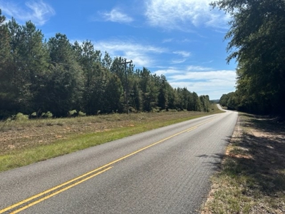 8.3 Acre Lot No Restrictions - image 20