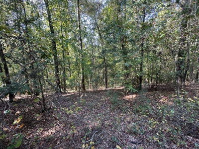 8.3 Acre Lot No Restrictions - image 3