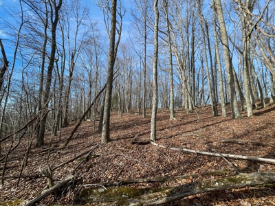 Building Land for Sale in Pilot VA! - image 17