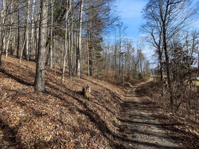 Building Land for Sale in Pilot VA! - image 27