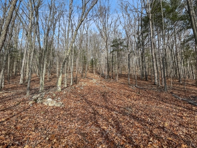 Building Land for Sale in Pilot VA! - image 2