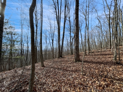 Building Land for Sale in Pilot VA! - image 1