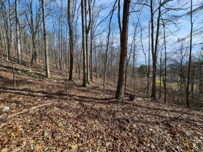 Building Land for Sale in Pilot VA! - image 23