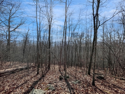 Building Land for Sale in Pilot VA! - image 9