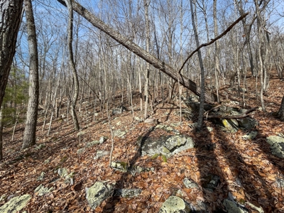 Building Land for Sale in Pilot VA! - image 6