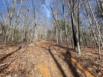 Building Land for Sale in Pilot VA! - image 25