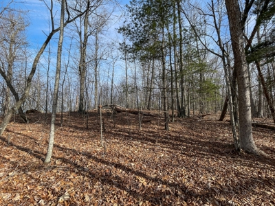 Building Land for Sale in Pilot VA! - image 12