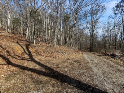 Building Land for Sale in Pilot VA! - image 26