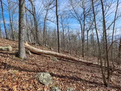 Building Land for Sale in Pilot VA! - image 8