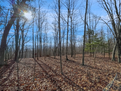 Building Land for Sale in Pilot VA! - image 13