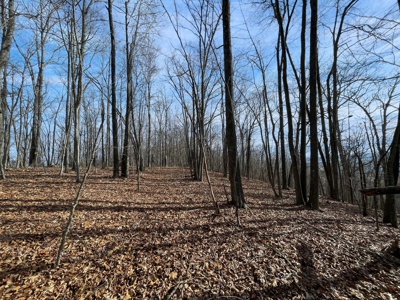 Building Land for Sale in Pilot VA! - image 14