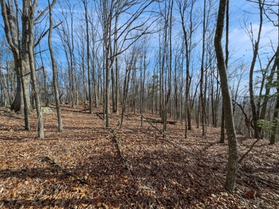 Building Land for Sale in Pilot VA! - image 15