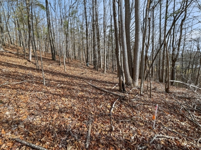 Building Land for Sale in Pilot VA! - image 3