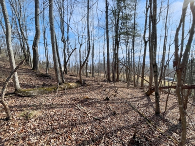 Building Land for Sale in Pilot VA! - image 19