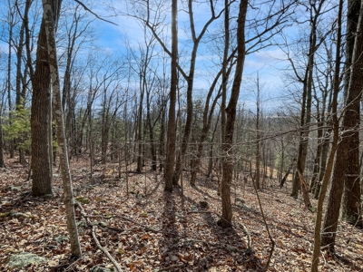 Building Land for Sale in Pilot VA! - image 7