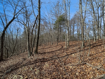 Building Land for Sale in Pilot VA! - image 10