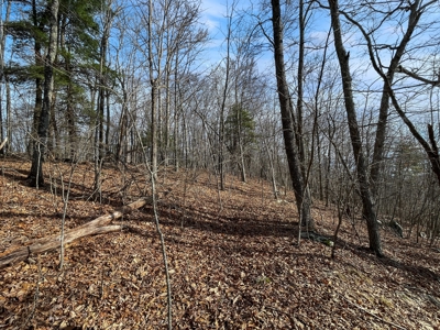 Building Land for Sale in Pilot VA! - image 11
