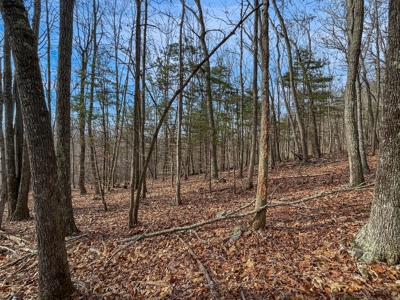 Building Land for Sale in Pilot VA! - image 4