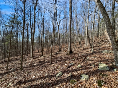 Building Land for Sale in Pilot VA! - image 21