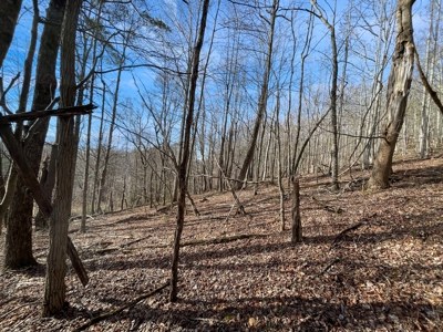 Building Land for Sale in Pilot VA! - image 20