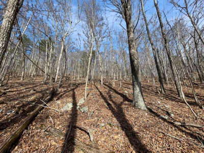 Building Land for Sale in Pilot VA! - image 22
