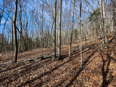 Building Land for Sale in Pilot VA! - image 24