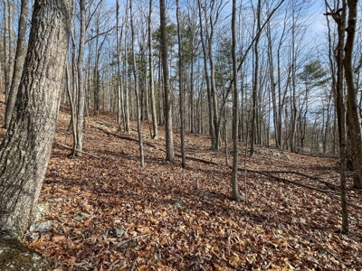 Building Land for Sale in Pilot VA! - image 5