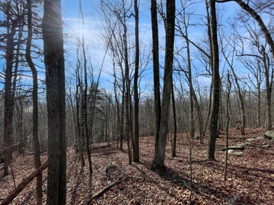 Building Land for Sale in Pilot VA! - image 18