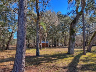 Suwannee River Waterfront Property For Sale! Bell Florida! - image 7