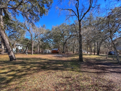 Suwannee River Waterfront Property For Sale! Bell Florida! - image 11