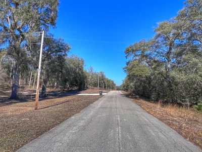 Suwannee River Waterfront Property For Sale! Bell Florida! - image 15