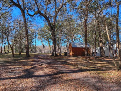 Suwannee River Waterfront Property For Sale! Bell Florida! - image 12