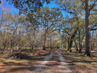Suwannee River Waterfront Property For Sale! Bell Florida! - image 13