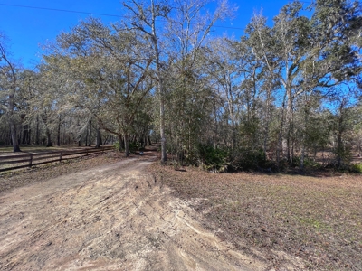 Suwannee River Waterfront Property For Sale! Bell Florida! - image 14