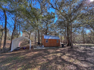 Suwannee River Waterfront Property For Sale! Bell Florida! - image 8
